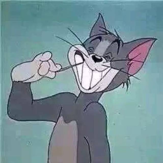 猫嘴巴老抖动什么原因？揭秘猫咪的小秘密